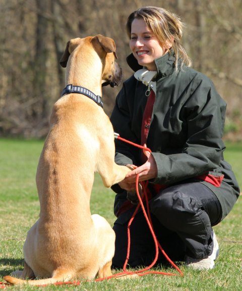 SOR Hundetræning adfærdsbehandling træningsplads i Sorø